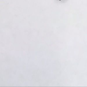 Meet your Posher, Ava